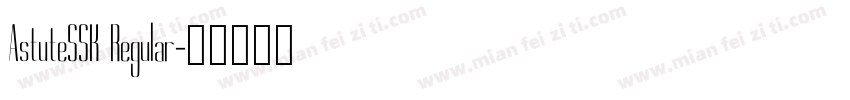 AstuteSSK Regular字体转换